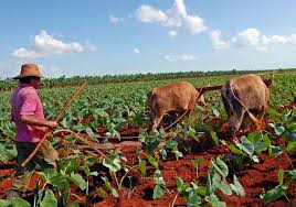 Granma sede del acto nacional por el DÃa del Campesino y el aniversario 60 de la Ley de Reforma Agraria.
