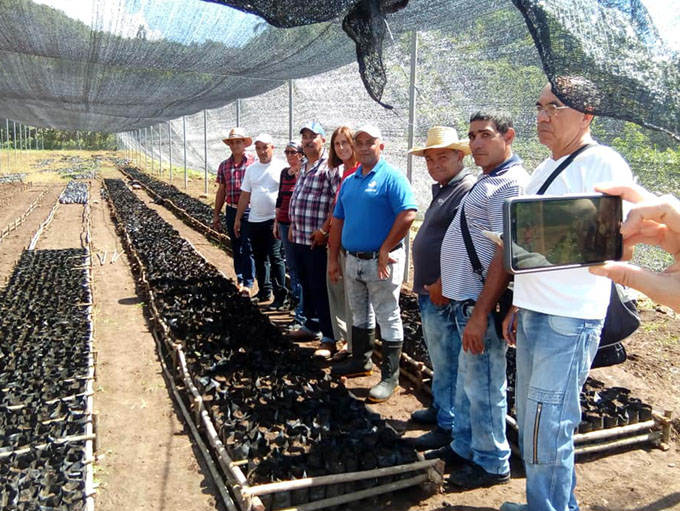 New technology for coffee production unveiled