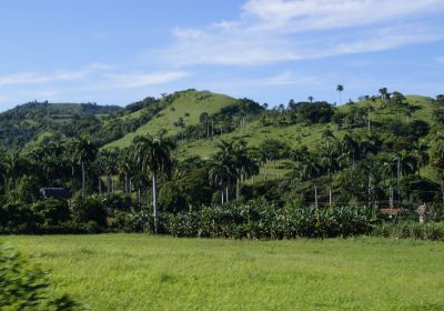 DÃa Mundial del Medio Ambiente