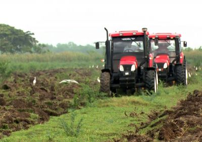 Inició Campaña de frío en la agricultura de Granma