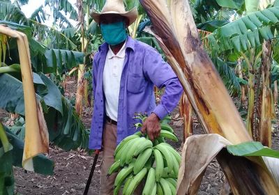 17 de mayo: Día del Campesino