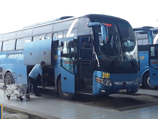 The gradual resumption of transport services continues today