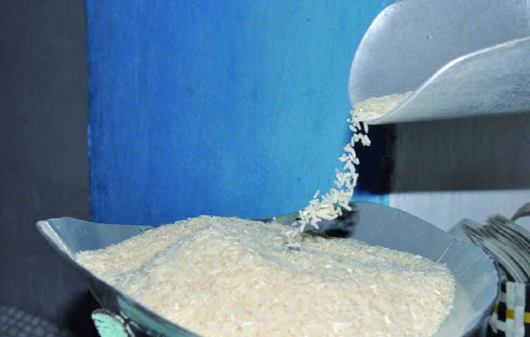 Report on delivery of additional rice