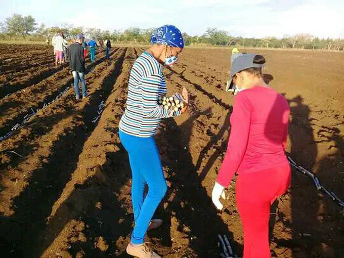 Nicaraguan educators support food production program